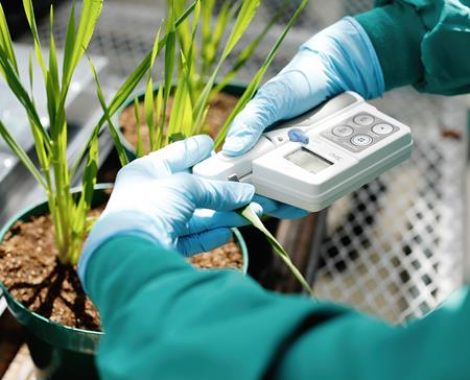 Plant-Science