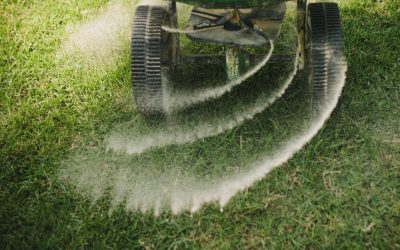 fertilising-lawn-01