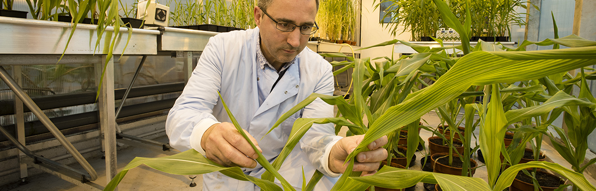 The University of Warwick School of Life Sciences.  Photograph by Martin Neeves Photography - www.martinneeves.com - Tel: +44 (0)7973 638591 - E-mail: martinneeves@googlemail.com